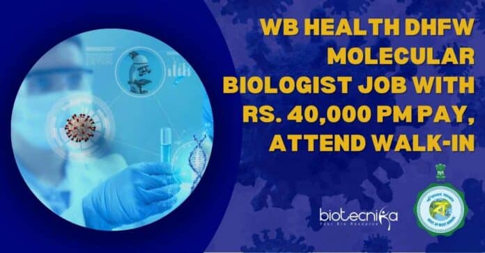 Molecular Biologist Job