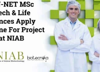 NIAB Project Vacancy 2023