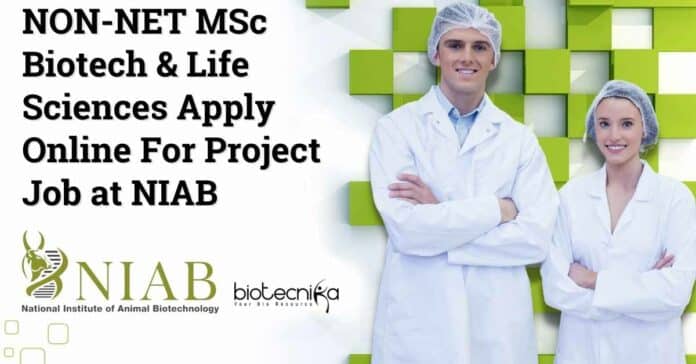 NIAB Project Vacancy 2023