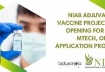 NIAB Adjuvanted Vaccine Project Job Opening For MSc, MTech, Online Application Process NIAB Project Vacancy SRF