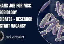 NIMHANS Job For MSc Microbiology Candidates – Research Assistant Vacancy NIMHANS Job For MSc