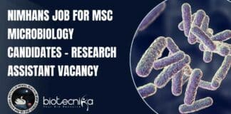 NIMHANS Job For MSc
