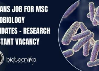 NIMHANS Job For MSc