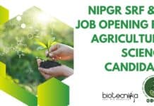 NIPGR SRF & PA Job Opening For Agricultural Sciences Candidates NIPGR Bioinformatics SRF