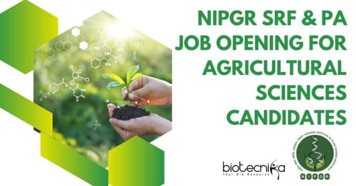 NIPGR Bioinformatics SRF