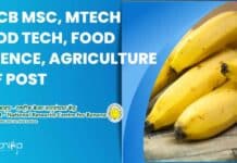 NRCB MSc, MTech Food Tech, Food Science, Agriculture SRF Post NRCB Food Science