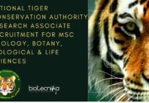 National Tiger Conservation Authority Research Associate Recruitment For MSc Zoology, Botany, Biological & Life Sciences National Tiger Conservation Authority