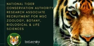 National Tiger Conservation Authority