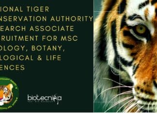 National Tiger Conservation Authority Research Associate Recruitment For MSc Zoology, Botany, Biological & Life Sciences National Tiger Conservation Authority