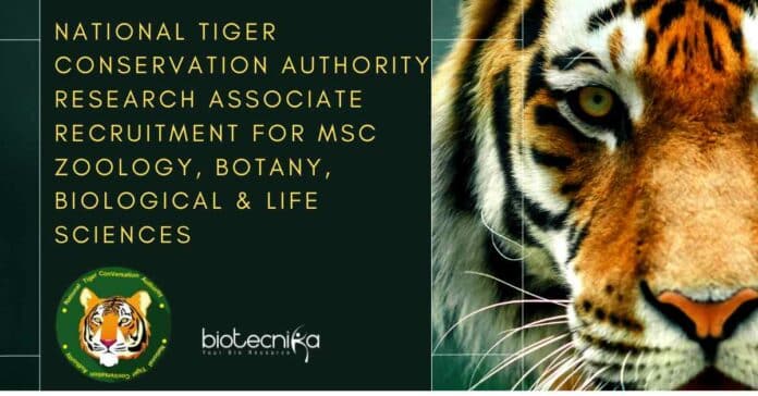 National Tiger Conservation Authority