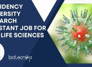 Presidency University Research Assistant