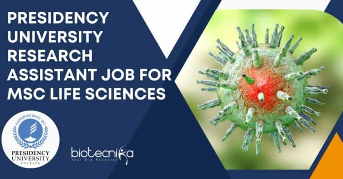 Presidency University Research Assistant