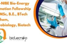 SSS-NIBE Bio-Energy Promotion Fellowship For MSc, B.E., BTech Biochem, Microbiology, Biotech SSS-NIBE Bio-Energy Promotion Fellowship