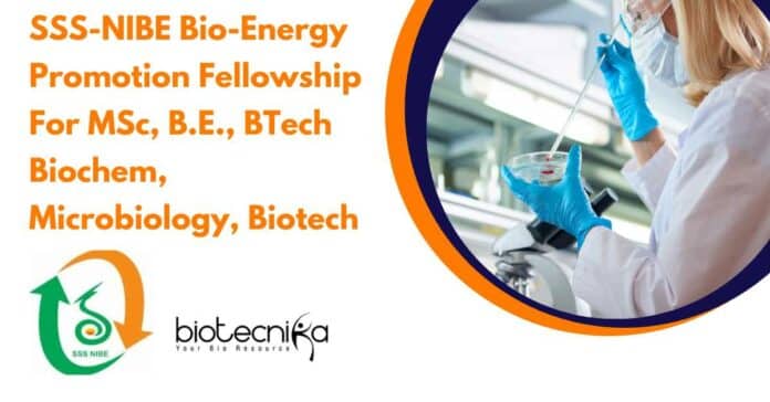 SSS-NIBE Bio-Energy Promotion Fellowship
