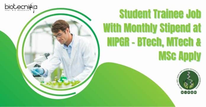 Student Trainee Job With Monthly
