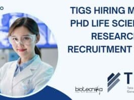 TIGS Hiring MSc
