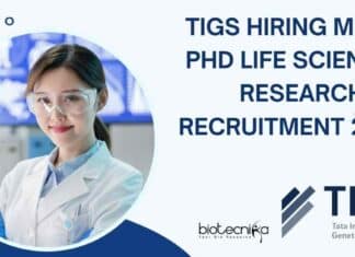 TIGS Hiring MSc
