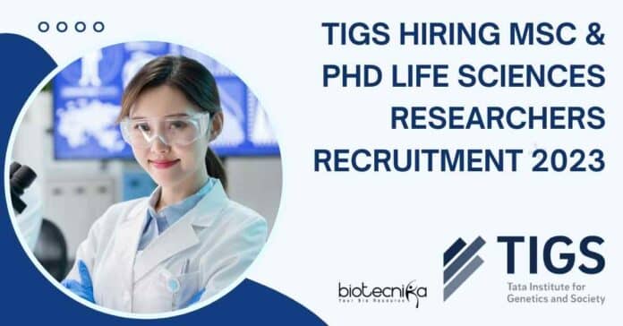 TIGS Hiring MSc
