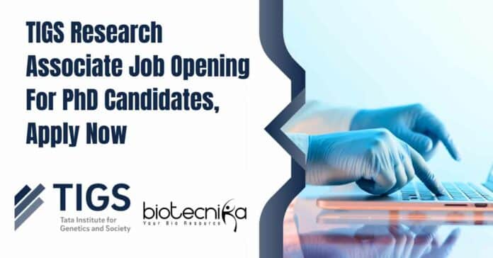 TIGS Research Associate Job
