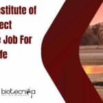 WII Project Vacancy Latest