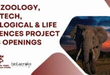WII Zoology, Biotech, Biological & Life Sciences Project Job Openings WII Zoology