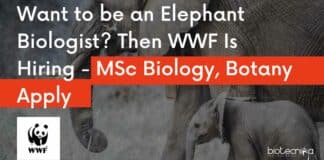 WWF India Job Openings