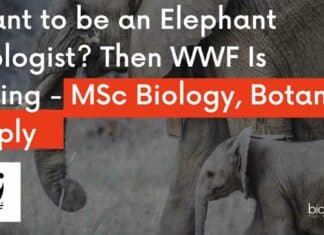 WWF India Job Openings