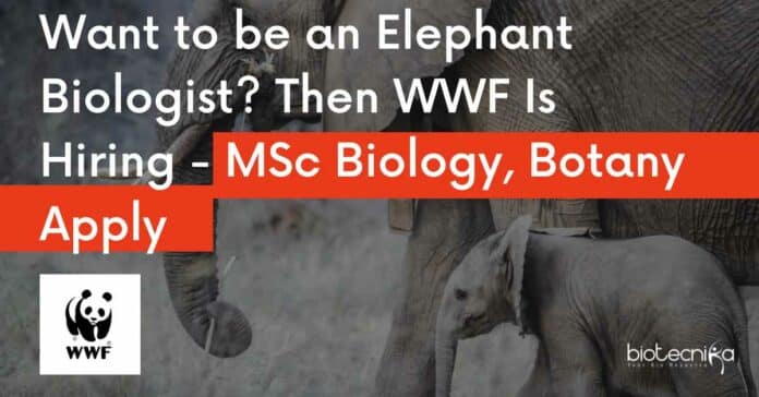 WWF India Job Openings