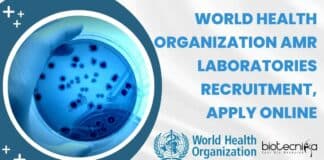 World Health Organization Job