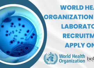 World Health Organization Job