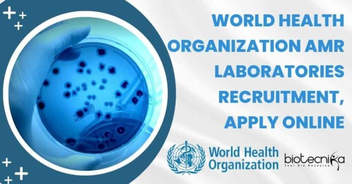 World Health Organization Job