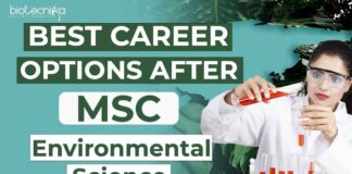 Environmental Sciences Career Options After MSc