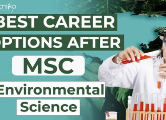 Environmental Sciences Career Options After MSc