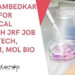 Dr. B.R. Ambedkar Center for Biomedical Research JRF Job For Biotech, Biochem, Mol Bio ACBR Delhi JRF Job