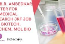 Dr. B.R. Ambedkar Center for Biomedical Research JRF Job For Biotech, Biochem, Mol Bio ACBR Delhi JRF Job
