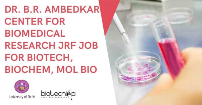 ACBR Delhi JRF Job