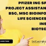 Pfizer Inc Sponsored Project Assistant Job For BSc, MSc Bioinformatics, Life Sciences at Amity Institute of Biotechnology Amity AIB Project Job