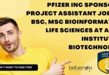 Pfizer Inc Sponsored Project Assistant Job For BSc, MSc Bioinformatics, Life Sciences at Amity Institute of Biotechnology Amity AIB Project Job