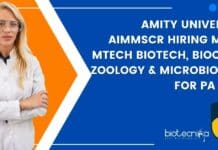 Amity University AIMMSCR Hiring MSc & MTech Biotech, Biochem, Zoology & Microbiology For PA Post Amity University AIMMSCR Hiring