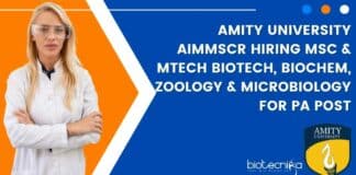 Amity University AIMMSCR Hiring