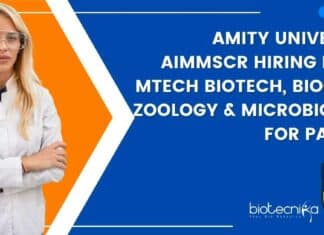 Amity University AIMMSCR Hiring