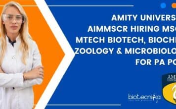 Amity University AIMMSCR Hiring