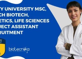 Amity University Project Vacancy