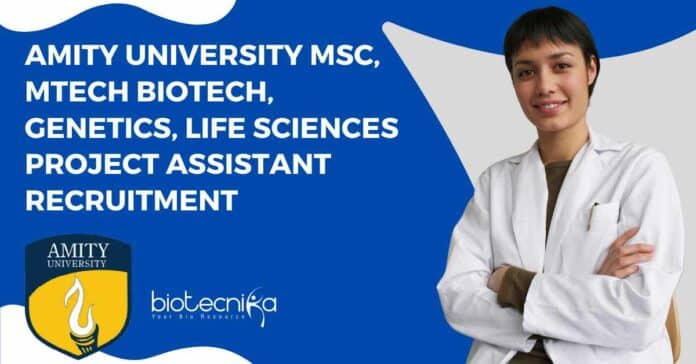 Amity University Project Vacancy