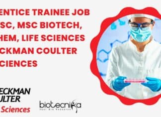Apprentice Trainee Job
