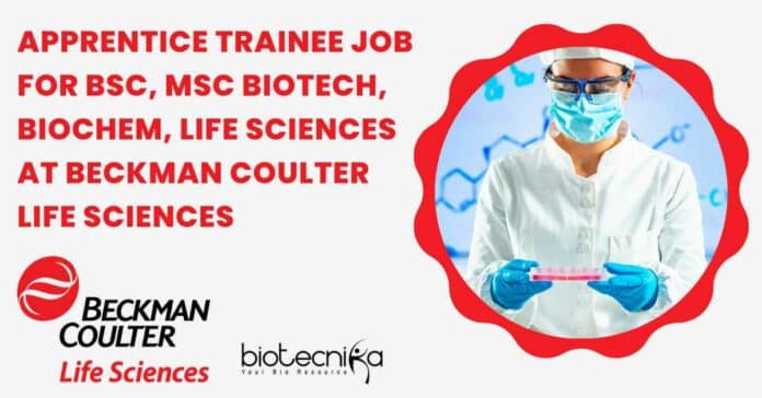 Apprentice Trainee Job
