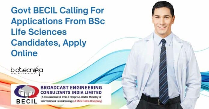 BECIL BSc Jobs 2023