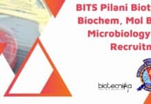 BITS Pilani Biotech, Biochem, Mol Bio & Microbiology JRF Recruitment BITS Pilani Mol Bio