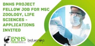 BNHS Project Fellow Job