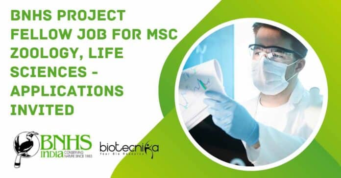 BNHS Project Fellow Job